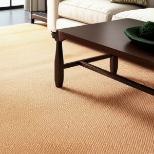 Textured tan and cream ombré rug covers the floor beneath a dark wood coffee table.
