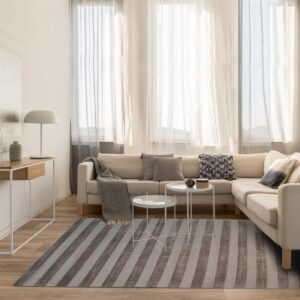 A gray and taupe striped area rug anchors a neutral living room with a cream sofa and wood floors.