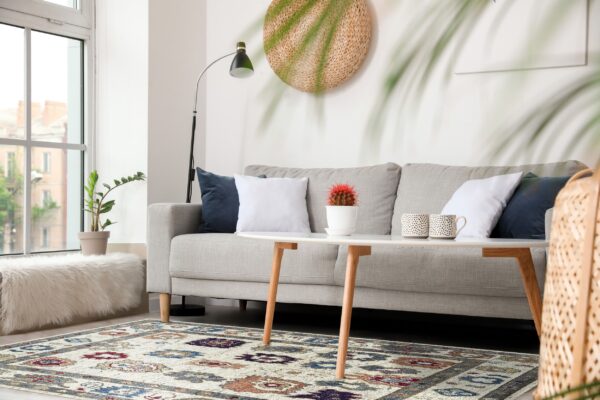 A cream, blue, and rust medallion patterned rug sits under a wooden coffee table in a bright modern living room.