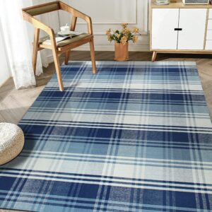 Blue and white plaid rug sits on a herringbone wood floor beside a simple wooden armchair.