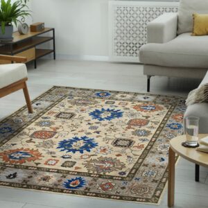 Beige and blue traditional rug with gray borders anchors a living room with a cream sofa and wood chair.
