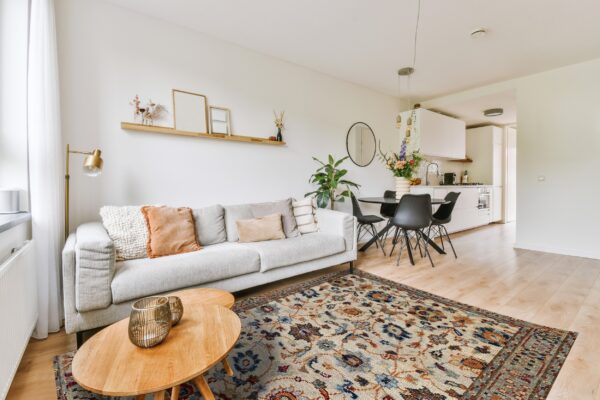 Traditional cream rug with blue and rust patterns defines a modern open living space and adjacent kitchen.