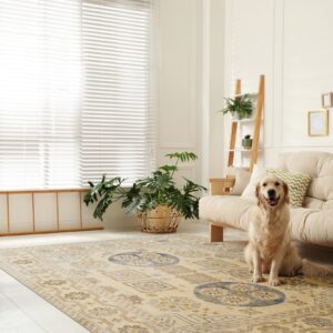 Cream rug with blue and gold geometric patterns anchors a bright room with a dog and a cream sofa.