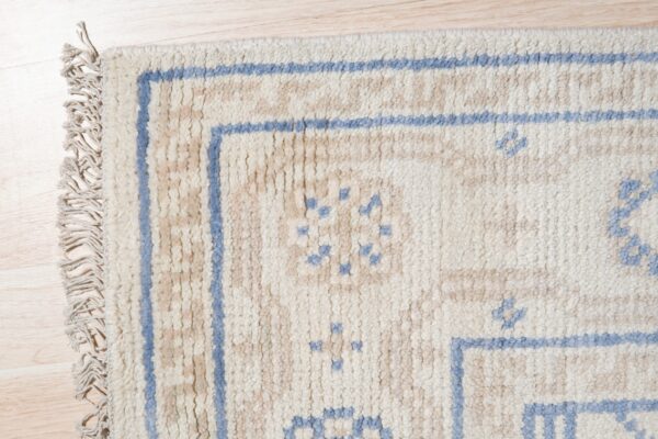 Shaggy ivory and beige rug featuring blue geometric borders and small patterns on wood floor.
