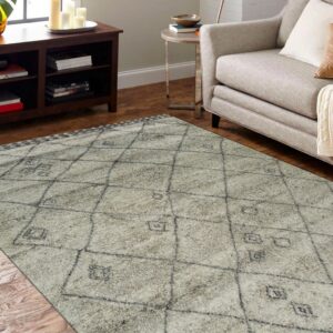 Shaggy gray rug with a faint geometric design anchors a living room with wood floors and a light sofa.