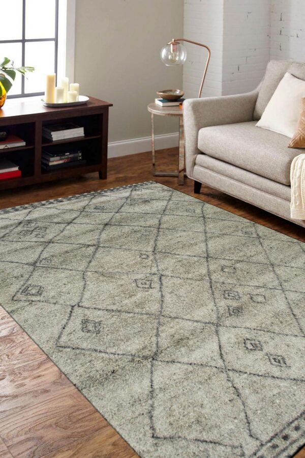 Shaggy gray rug with a faint geometric design anchors a living room with wood floors and a light sofa.