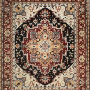 Traditional rug with a black, beige, rust red, and gray medallion design and complex border patterns.