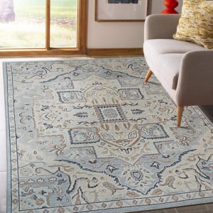 Blue and beige medallion rug anchors a bright room with a light grey couch and wood-trimmed window.