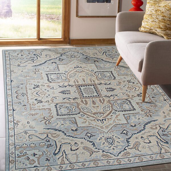 Blue and beige medallion rug anchors a bright room with a light grey couch and wood-trimmed window.