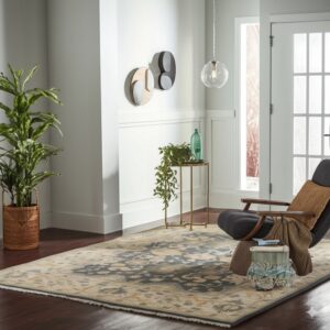Beige and gray medallion rug on dark hardwood floors next to a black chair and large potted plant.