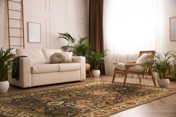 Dark floral area rug anchors a bright room featuring a white sofa, wooden armchair, and potted plants.