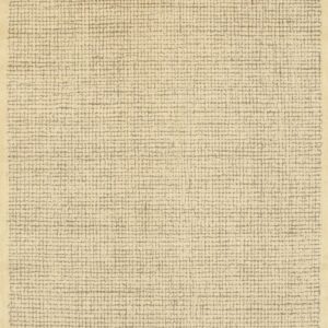 Monochromatic beige rug featuring a full-field irregular grid design and solid outer border.