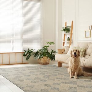 Abstract blue and beige patterned rug in a bright room with light wood floors and a golden retriever.