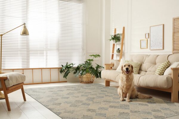 Abstract blue and beige patterned rug in a bright room with light wood floors and a golden retriever.