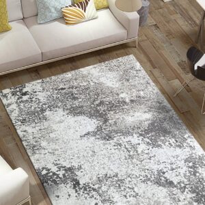 Gray and white abstract area rug on wood floors, placed in front of a modern white sofa.