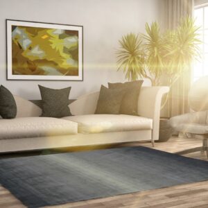 A gray striated rug sits on wood flooring beneath a beige sofa in a brightly sunlit living space.