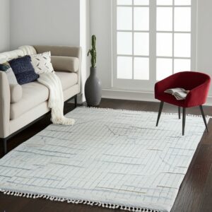 White low-pile rug with a blue grid pattern and tassels anchors a living room with dark wood floors and neutral seating.