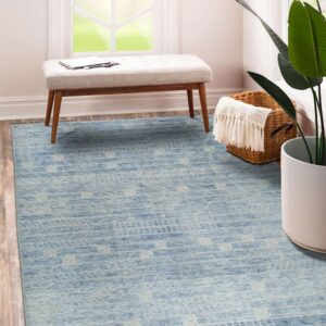 Light blue geometric rug with tassels on hardwood flooring next to a bench and a large houseplant.