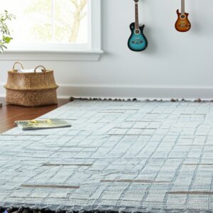 A textured light blue and brown grid pattern rug with fringe lies on hardwood floors.
