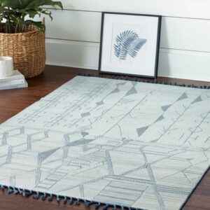 Low-pile cream and blue geometric rug with tassels on dark hardwood flooring near a plant and framed art.