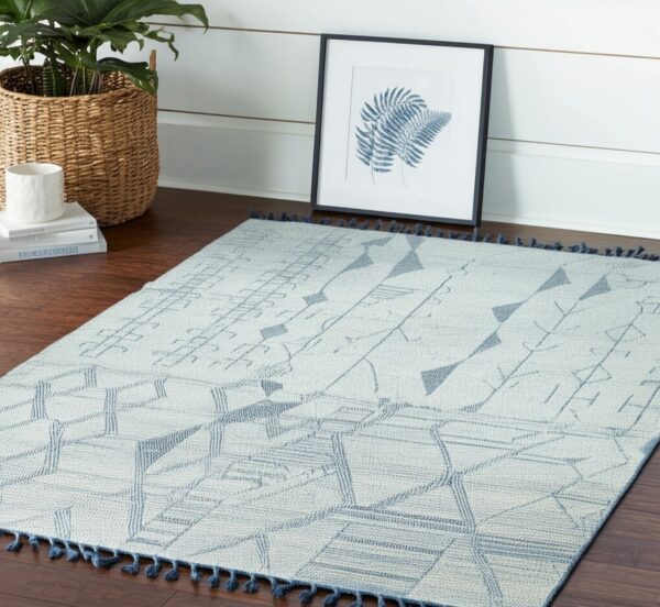 Low-pile cream and blue geometric rug with tassels on dark hardwood flooring near a plant and framed art.