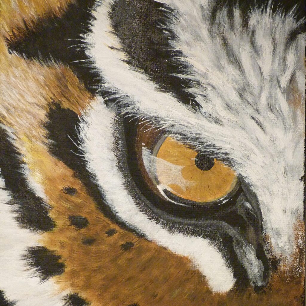 A tightly woven tiger eye design rug pattern depicting a large, realistic brown and gold tiger eye surrounded by black and white fur.