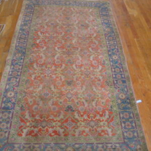 Muted orange rug featuring intricate classical patterns and a wide blue and purple border lies on a wood floor.