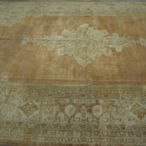 Tan and light brown Oriental rug with faded central medallion and elaborate multicolored borders.