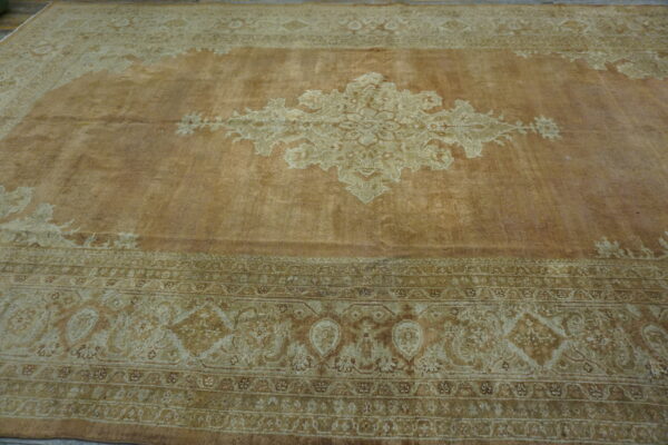 Tan and light brown oriental rug with faded central medallion and elaborate multicolored borders.