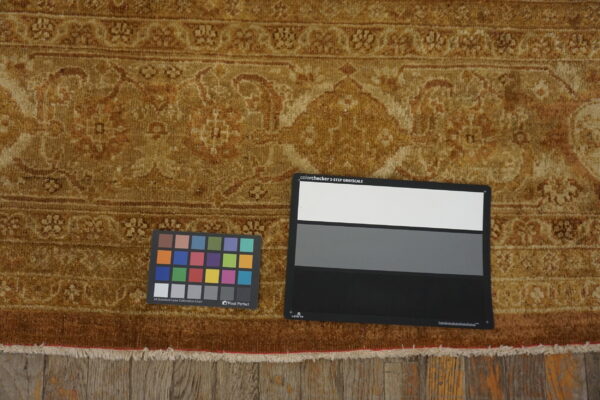 Golden brown high-pile rug featuring an ornate traditional pattern, fringed edges, and color charts on rustic wood flooring.