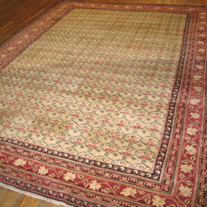 Large beige rug featuring repeating red and black motifs and wide burgundy floral borders on dark hardwood flooring.