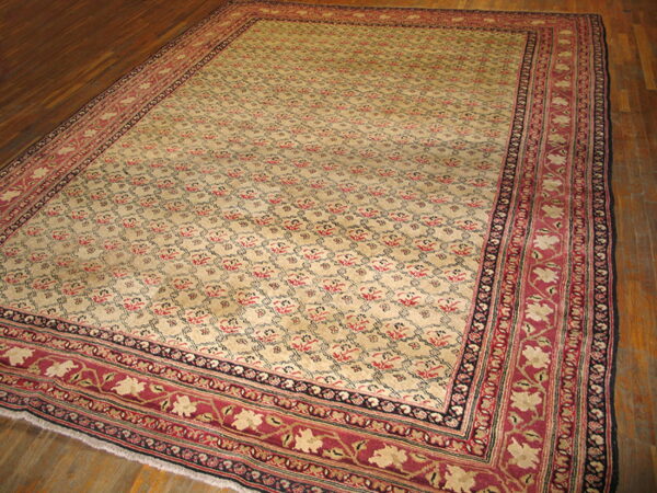 Large beige rug featuring repeating red and black motifs and wide burgundy floral borders on dark hardwood flooring.