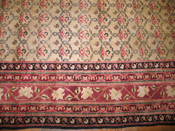 Tan and red patterned rug displaying a repeating field design and detailed borders, visible on wood flooring.