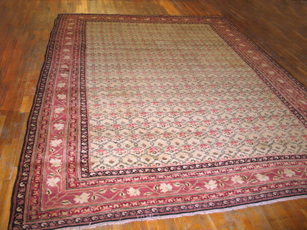 Large rug featuring a beige field and wide red and blue patterned borders on distressed hardwood floor.