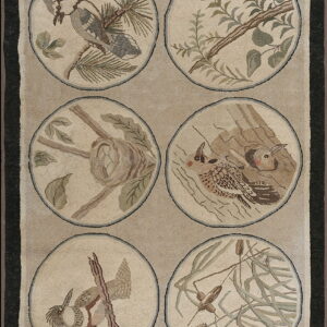 Muted beige hooked rug with six circular nature vignettes featuring birds and foliage, framed by dark borders.