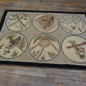 Beige hooked rug featuring six pictorial medallions of birds and nature, framed by a dark border on rustic wood floors.