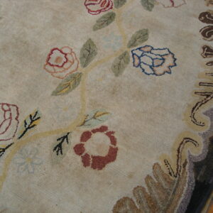 Textured beige rug with scattered colorful roses and vines bordered by dark, complex scrolls.