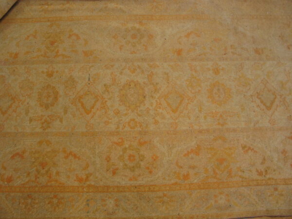 Muted tan rug featuring banded floral and geometric patterns in soft orange and gold tones.