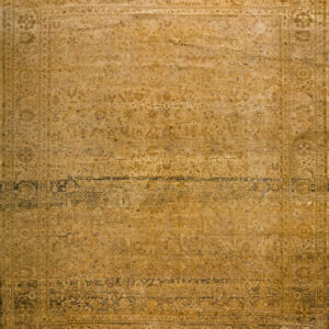 Monochromatic gold and dark brown traditional rug with a detailed border rests on distressed wood planks.