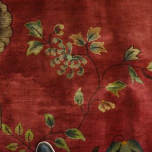 Plush red rug displaying detailed green and olive floral vines; a black shoe provides scale reference.