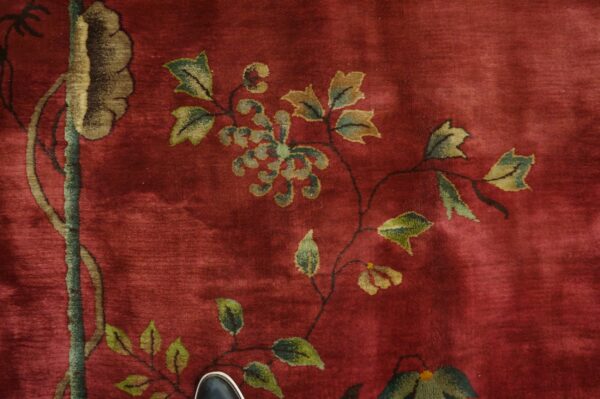 Plush red rug displaying detailed green and olive floral vines; a black shoe provides scale reference.