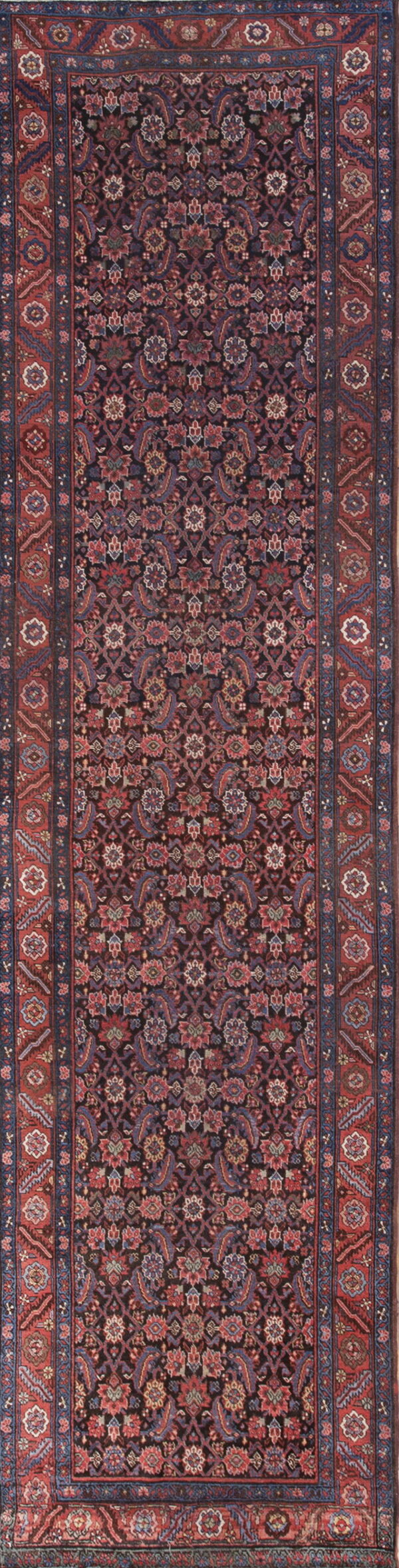Intricate, dark-ground runner rug with dense floral motifs and wide red and navy blue borders.