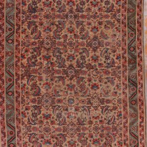 Tan rug with dense red and blue traditional motifs and a contrasting olive green patterned border.