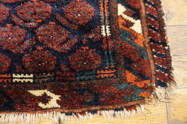 High-pile rug featuring complex red and dark blue medallions with fringe resting on wood flooring.