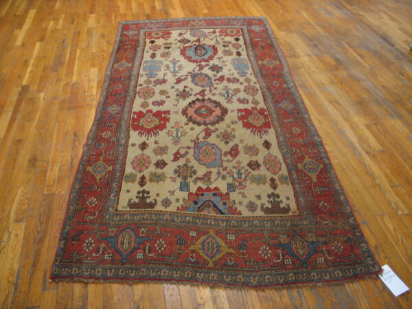 Geometric and stylized floral patterned rug with a beige field and rust border on wooden floorboards.