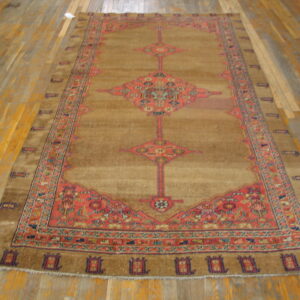 Large tan rug with a central coral medallion and geometric pattern on wide plank wood floor.