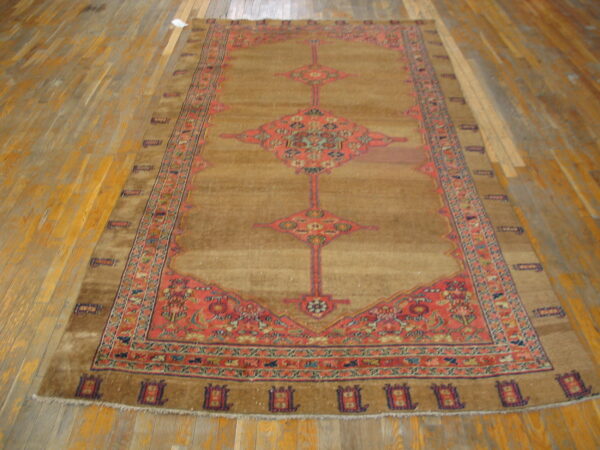 Large tan rug with a central coral medallion and geometric pattern on wide plank wood floor.