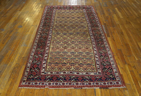 Geometric patterned rug with a light beige field and complex red and blue borders on wooden planks.