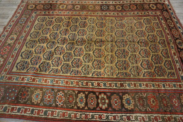 Distressed traditional rug with gold and multicolored field, laid upon light gray wood flooring.