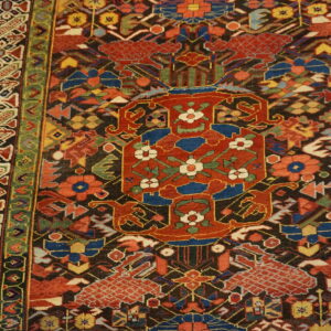 Intricate traditional rug with a dark field, red central design, multi-colored motifs, and green borders on wood planks.